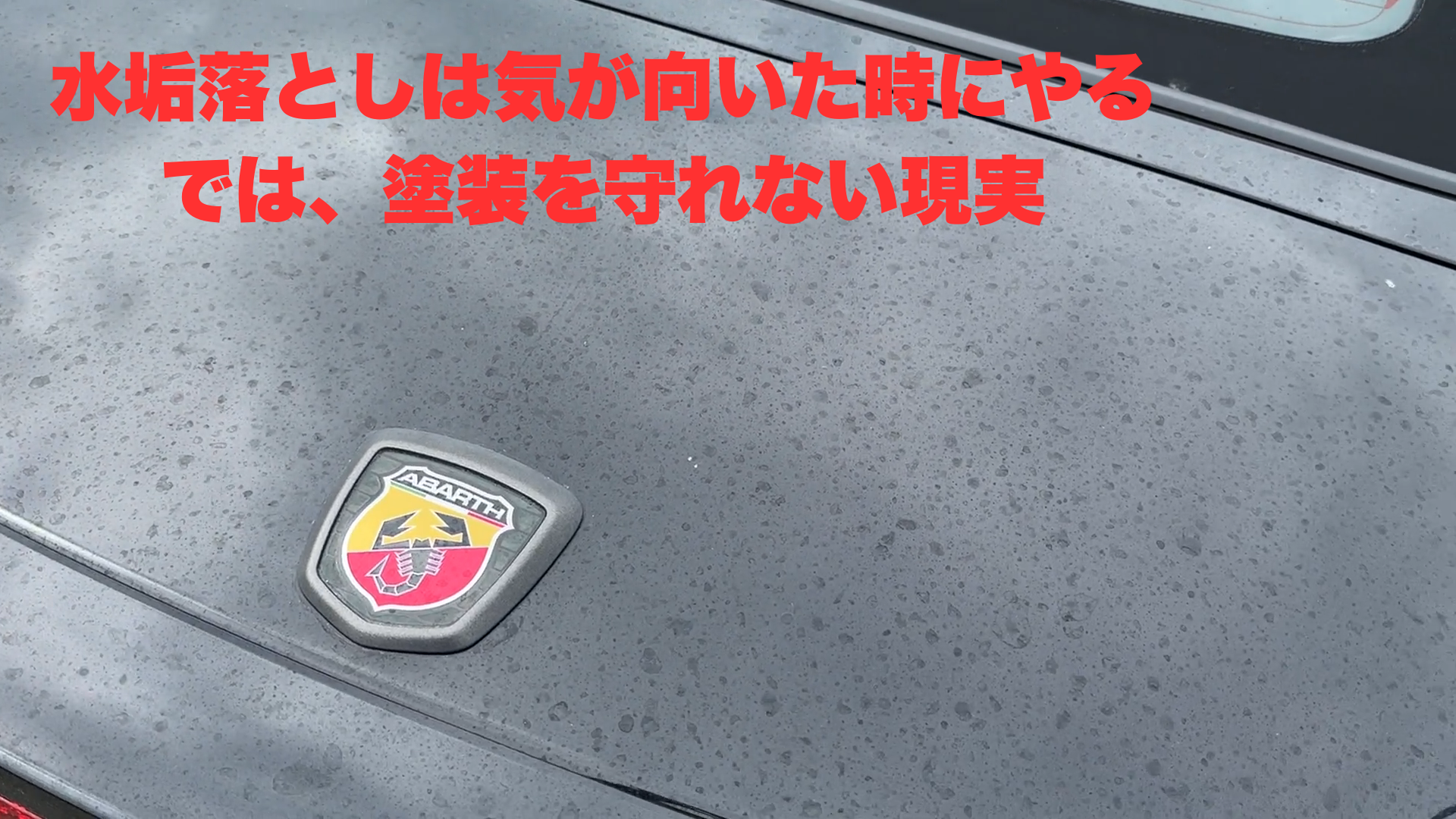 水垢落としは年1回のイベントじゃない——毎月のルーティンにしてほしい 水垢落としは年1回のイベントじゃない——毎月のルーティンにしてほしい