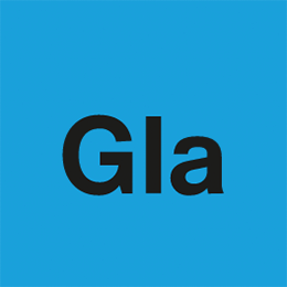 Glas Star(ガラスクリーナー1,000ml)