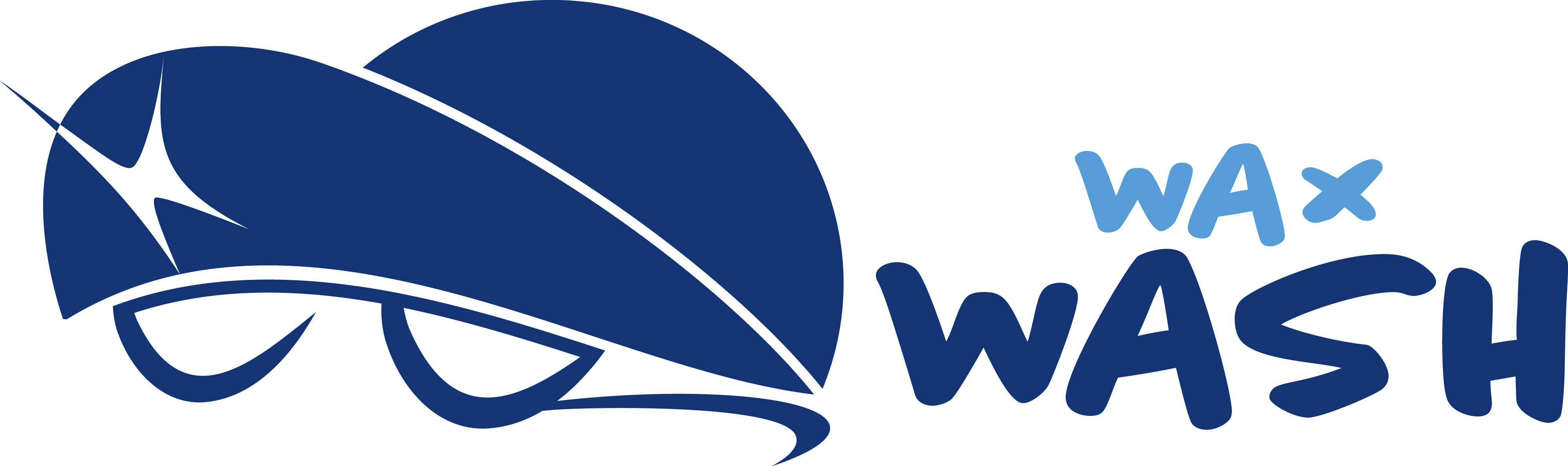 wax wash auto care