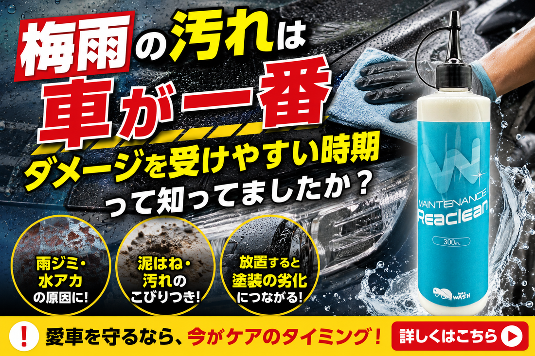 「6月は車が一番ダメージを受けやすい時期」って知ってましたか？